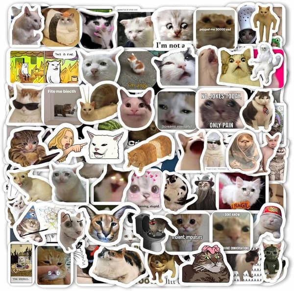 Funny Cat Meme Stickers - 100-Piece Collection for Cat Lovers