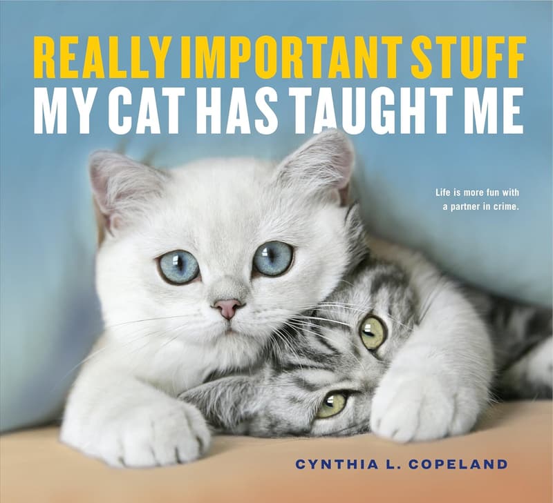 Life Lessons from My Cat: Wisdom for Pet Lovers