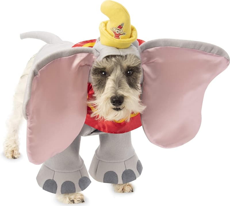 Disney Dumbo Pet Costume, Medium - Perfect for Halloween Parties