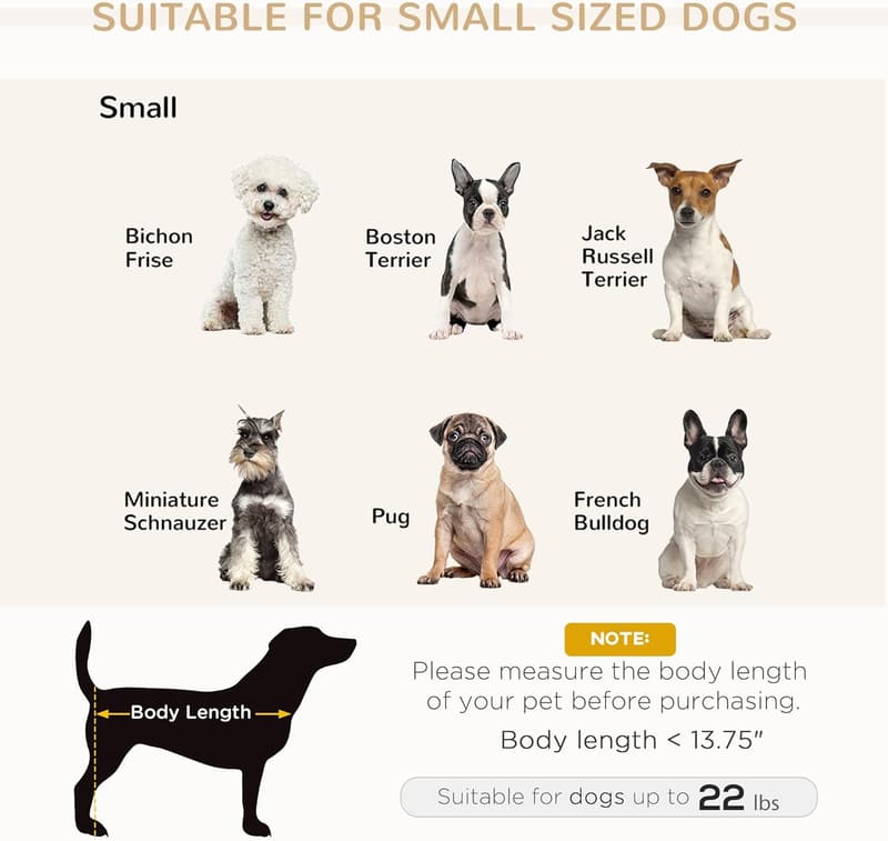 Luxury Dog Sofa Bed with Hidden Storage for Small Breeds