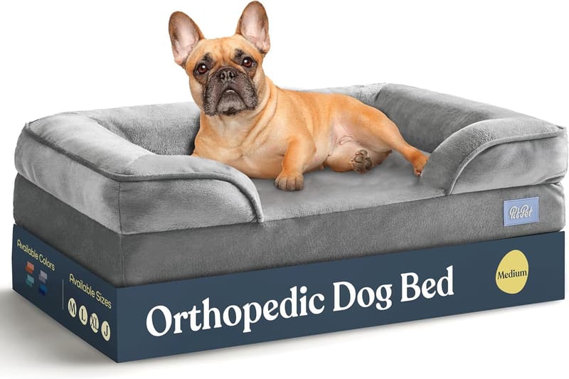Orthopedic Dog Bed with Egg Foam Support - Medium Size, Waterproof