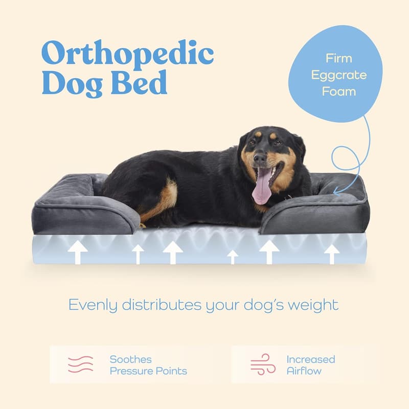 Orthopedic Dog Bed with Egg Foam Support - Medium Size, Waterproof