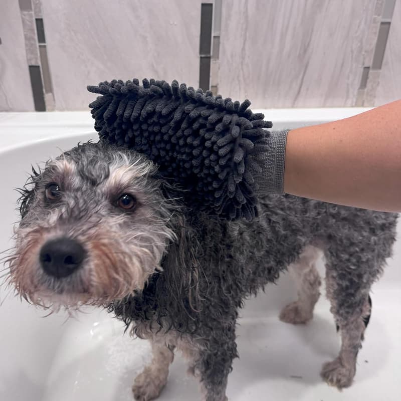 Super Absorbent Chenille Dog Towel Mitt for Wet Paws