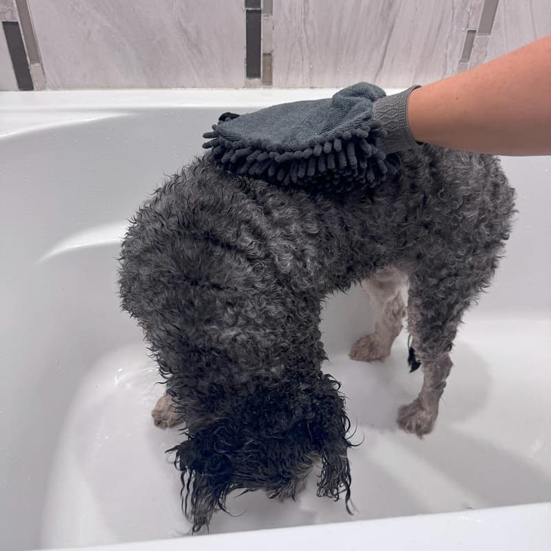 Super Absorbent Chenille Dog Towel Mitt for Wet Paws
