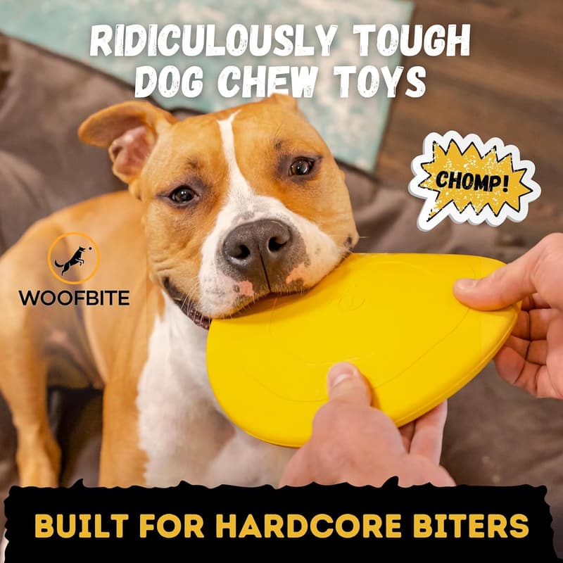 Ultra Durable Dog Disc - Heavy Duty Natural Rubber - 8in