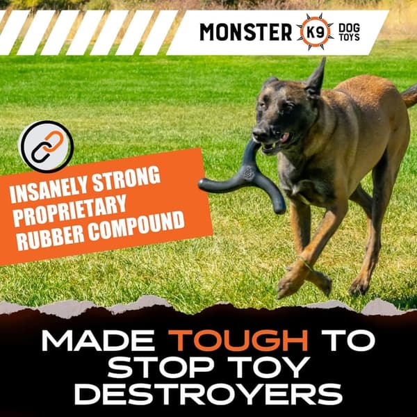Ultra Durable Rubber Boomerang Dog Toy for Aggressive Chewers