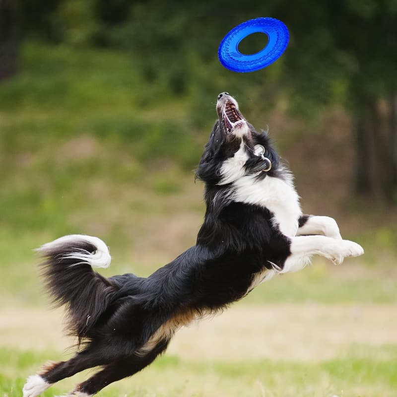 Medium Blue Nerf Dog Translucent TPR Tire Flyer