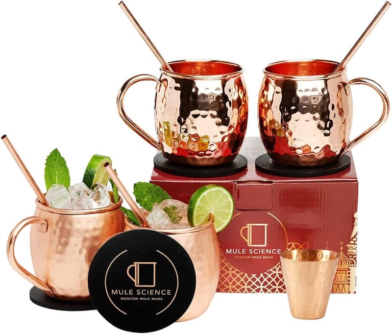 Moscow Mule Gift Set - Handcrafted Copper Mugs (Set of 4)