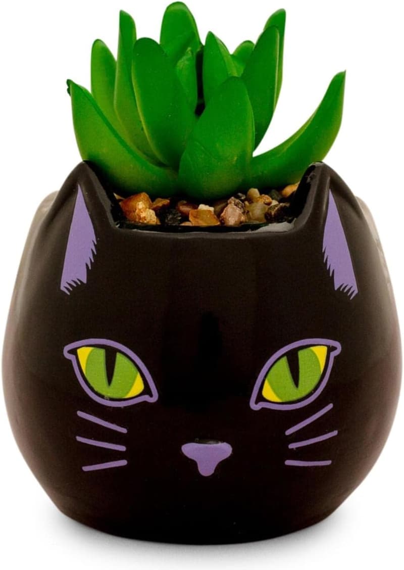 Mini Planter with Faux Succulent - Disney Hocus Pocus Binx