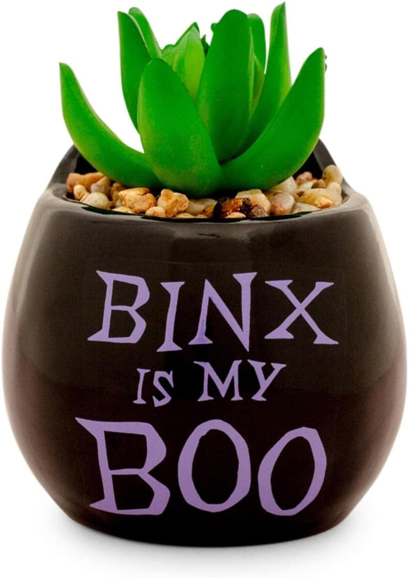 Mini Planter with Faux Succulent - Disney Hocus Pocus Binx