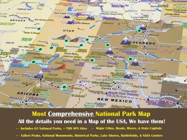 USA National Parks Travel Map Poster - Brown Edition (24