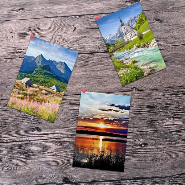 Multicolor Map Push Pins with Steel Points – 500 Pieces