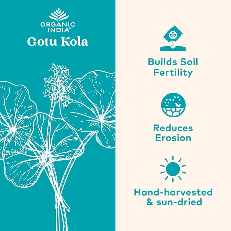 USDA Organic Gotu Kola Herbal Supplement for Brain Support - 90 Caps