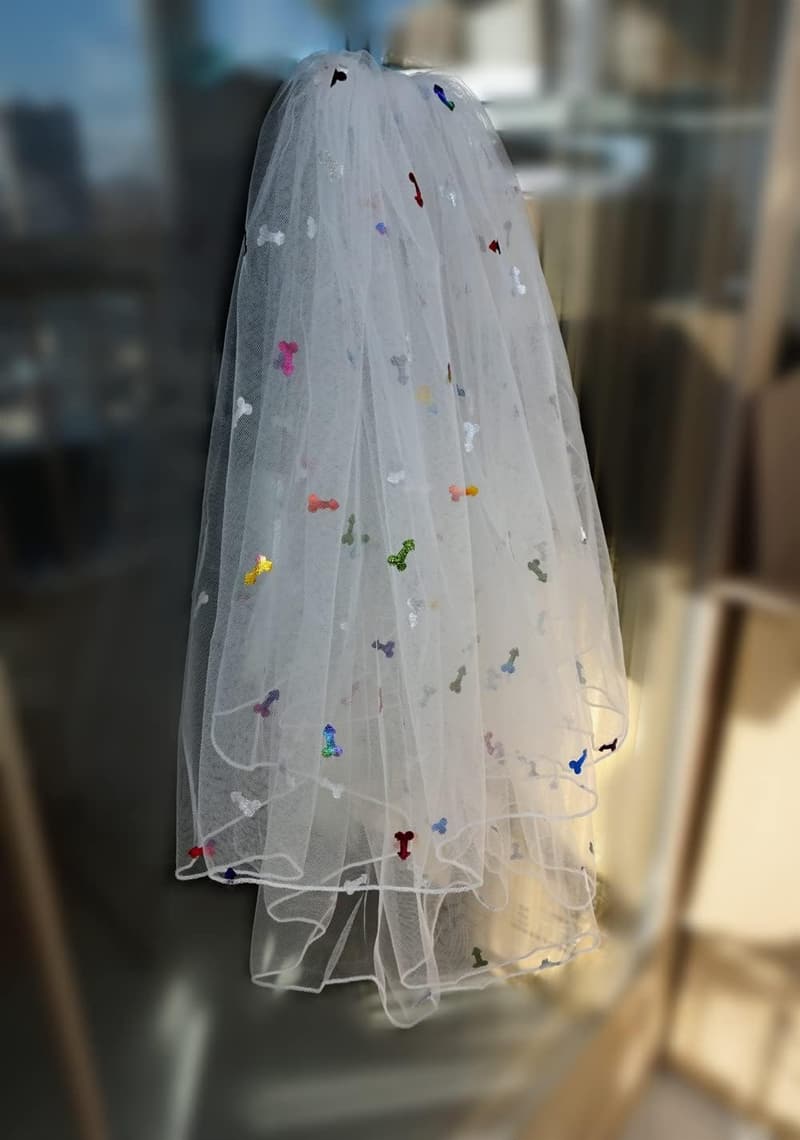 Bachelorette Party 2-Tiered Veil with Comb