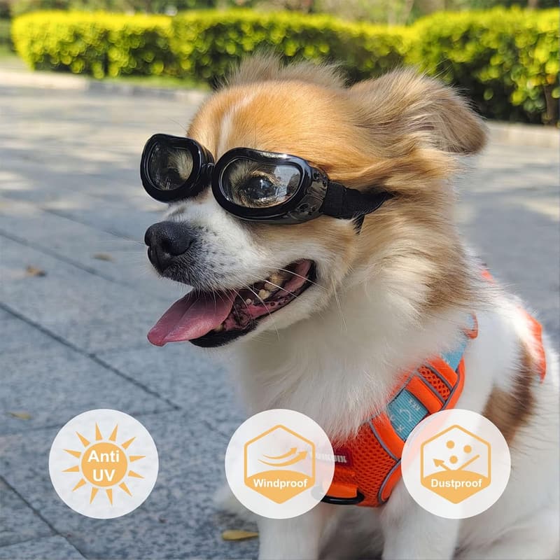 Small Dog Goggles for Eye Protection & Outdoor Activities