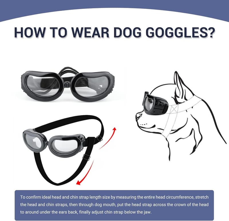Small Dog Goggles for Eye Protection & Outdoor Activities