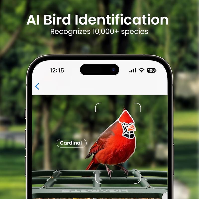 Solar-Powered Bird Feeder with Camera & AI Recognition