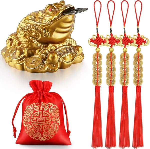 Feng Shui Money Frog Decoration with Coins for Prosperity