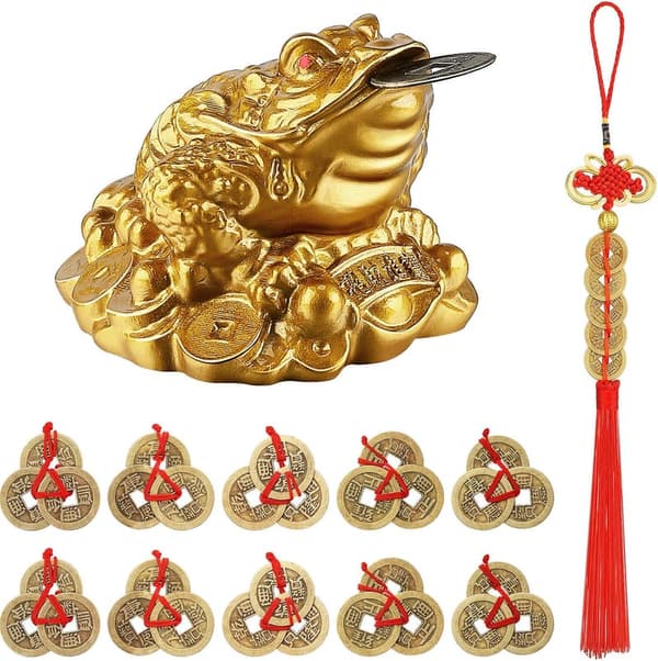 Feng Shui Money Frog Statue Set with Coins for Wealth Attraction