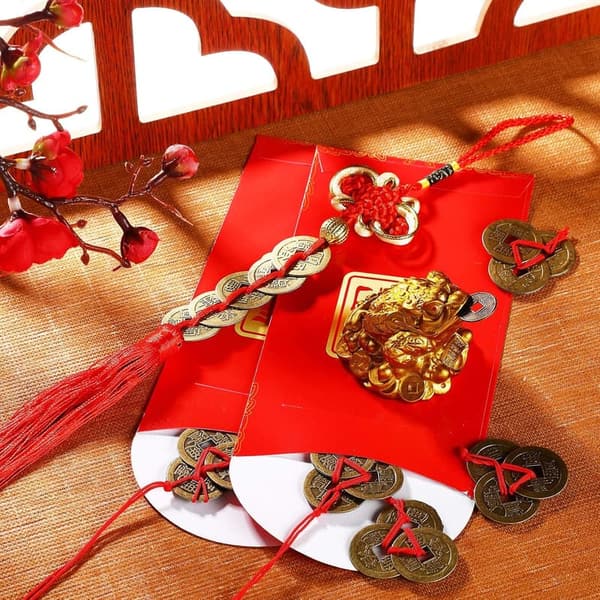 Feng Shui Money Frog Statue Set with Coins for Wealth Attraction