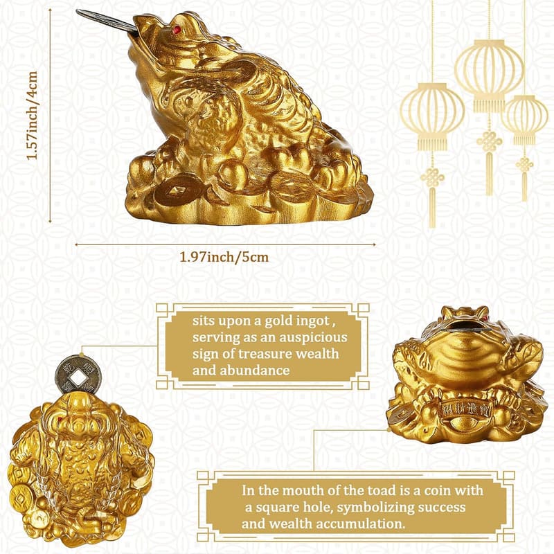 Feng Shui Money Frog Statue Set with Coins for Wealth Attraction