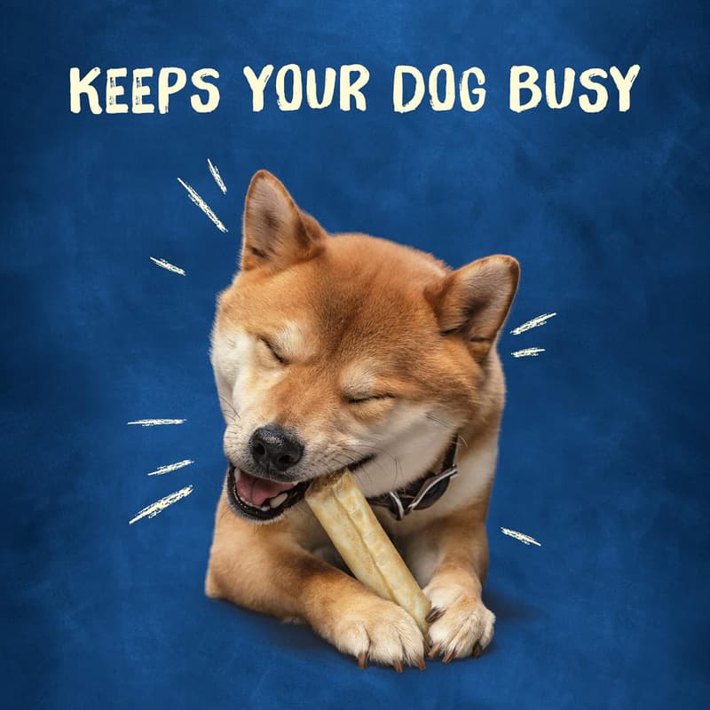 Purina Busy Rawhide Dog Bones for Small/Medium Breeds - 18 ct.