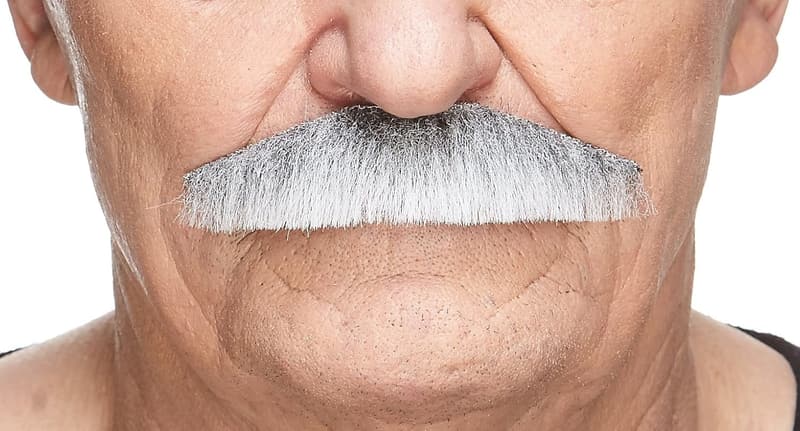 Policeman Costume Accessory: Gray & White Fake Mustache