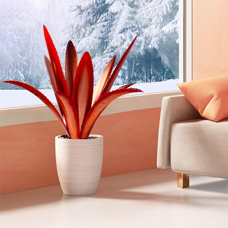 Agave Metal Garden Sculpture - Thickened Wind Resistant Art