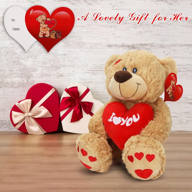 Valentine's Day Plush Teddy Bear with Heart Pillow