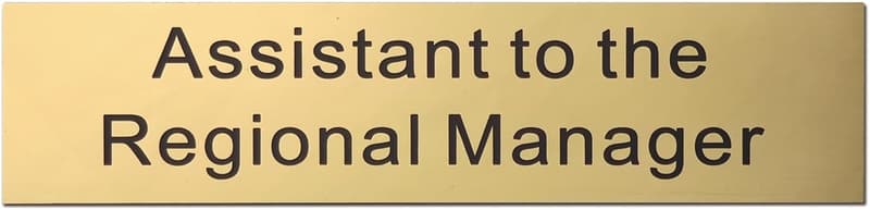 Novelty Name Plate for Desk - 2x8 Inch Gold with Holder