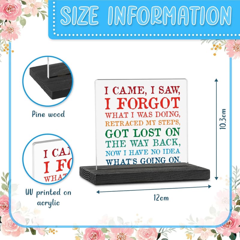 Humorous Acrylic Office Sign for Colleagues and Friends