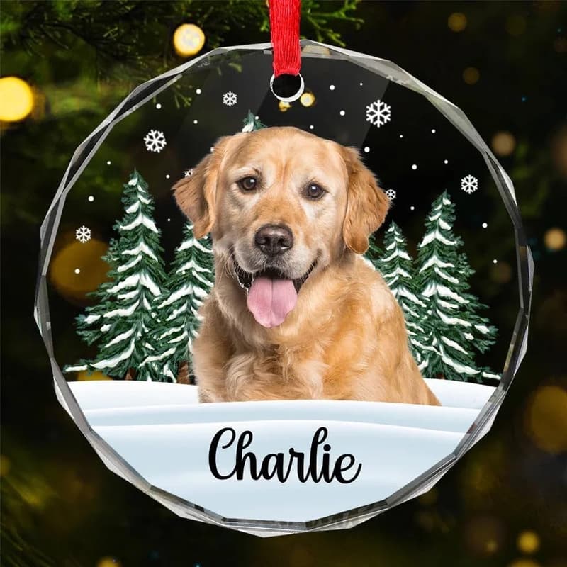 Personalized Circle Glass Ornaments for Pet Lovers