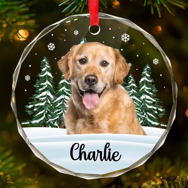 Personalized Circle Glass Ornaments for Pet Lovers