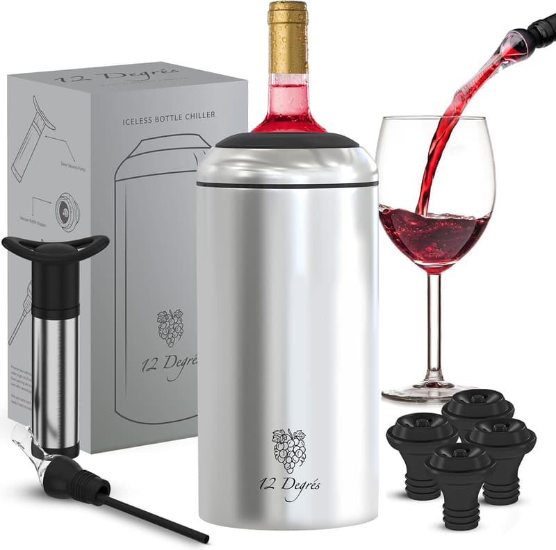 Stainless Steel Wine Chiller Set with Pump & Aerator