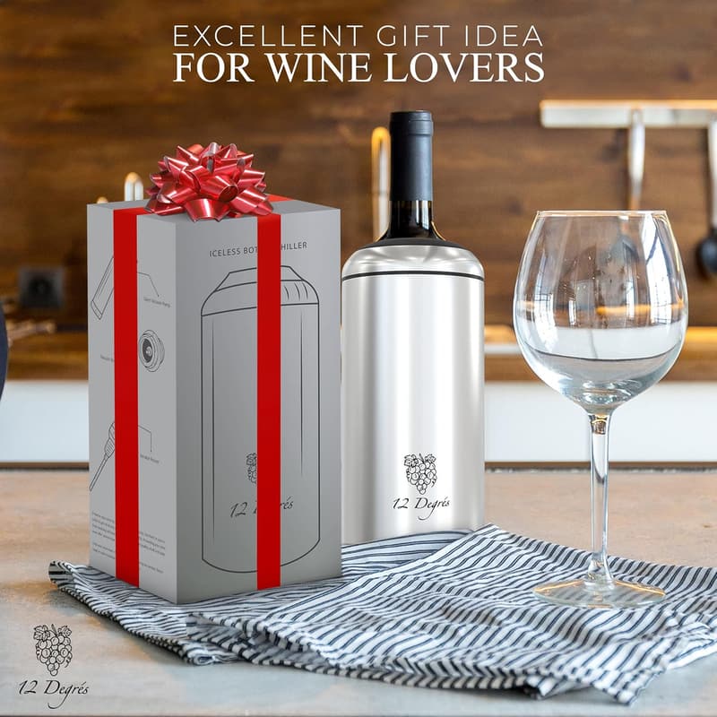 Stainless Steel Wine Chiller Set with Pump & Aerator