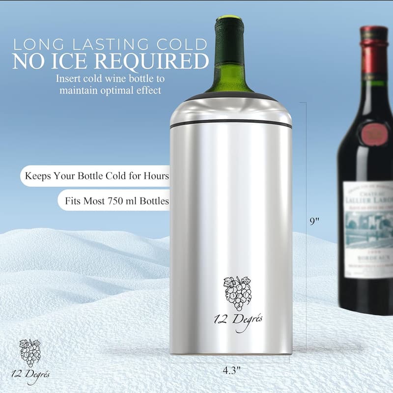 Stainless Steel Wine Chiller Set with Pump & Aerator