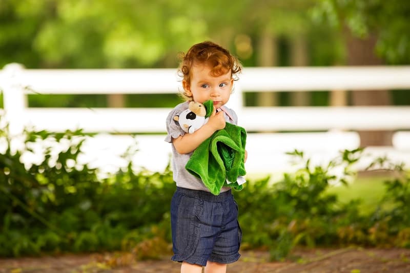 John Deere Farm Animal Security Blanket for Babies, Green