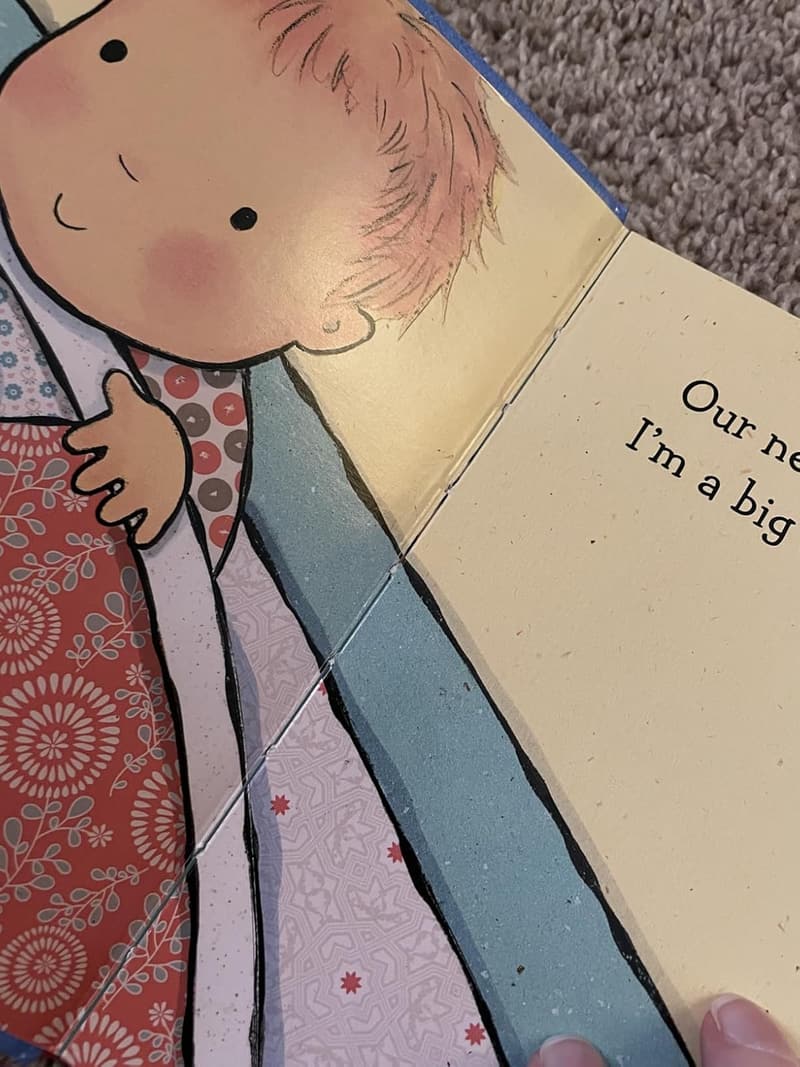 Big Brother Book by Caroline Jayne Church