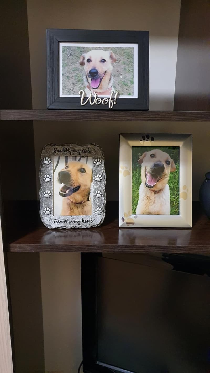 Pet Memorial Picture Frame Keepsake for Healing Remembrance