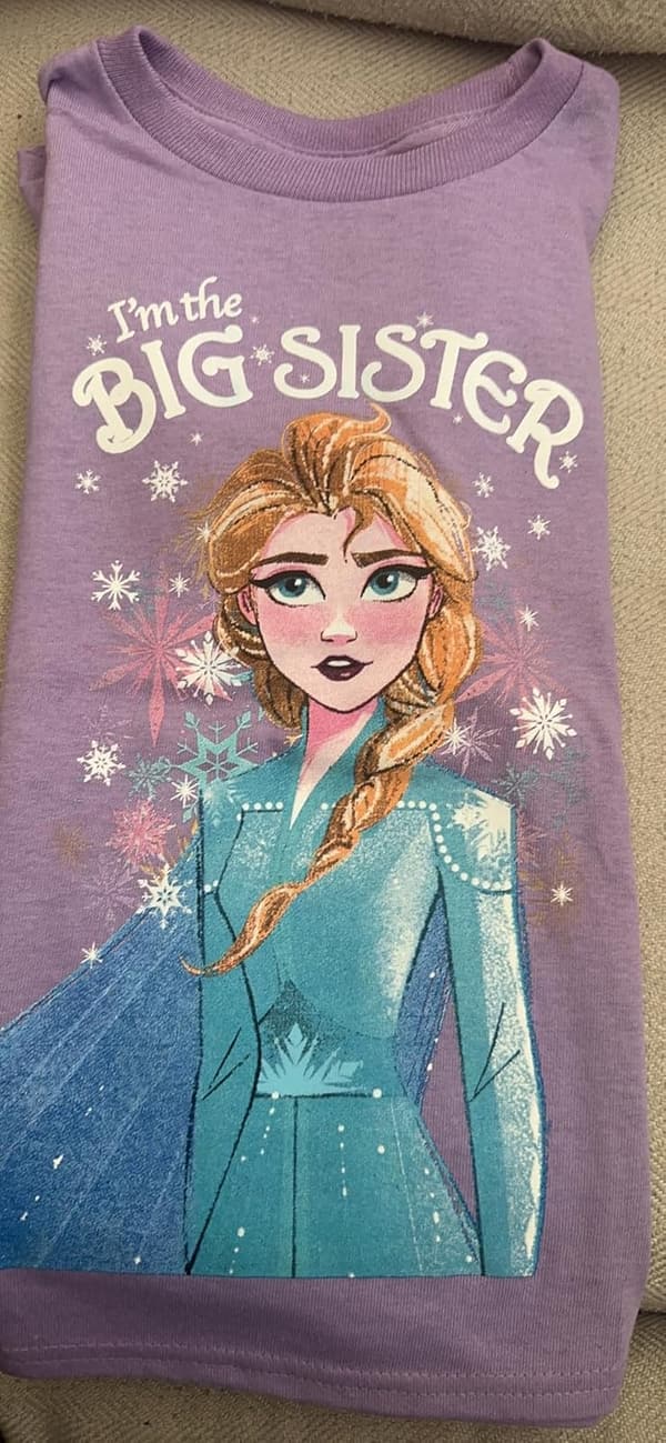 Big Sister Frozen Elsa Youth T-Shirt for Kids