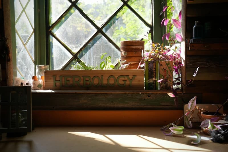 Harry Potter: Botanical Projects for Herbology Enthusiasts