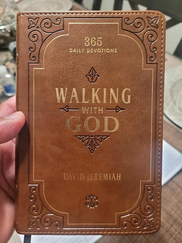 365 Daily Devotions - Brown Faux Leather Devotional for All