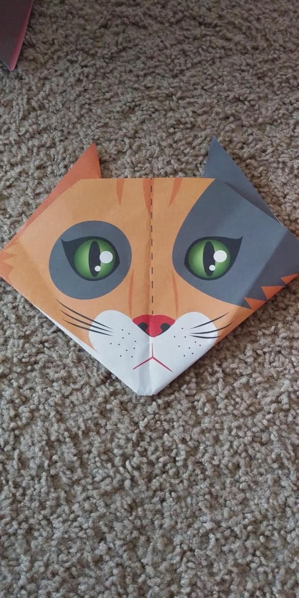 Kids' Origami Kit: 20 Fun Projects + 100 Folding Papers