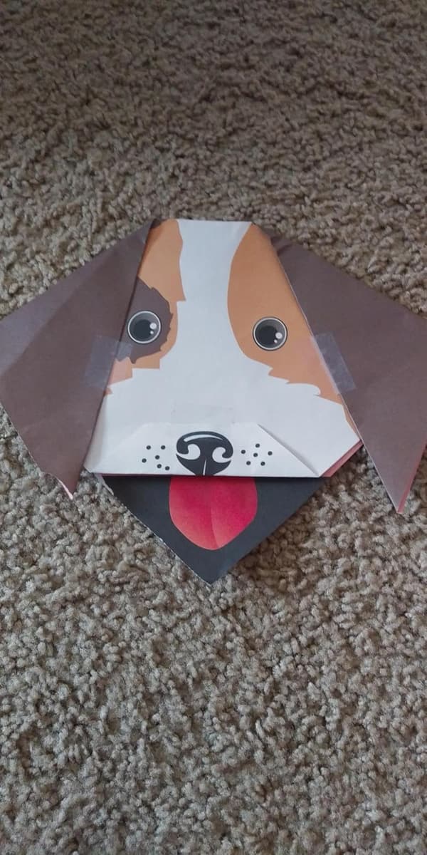 Kids' Origami Kit: 20 Fun Projects + 100 Folding Papers