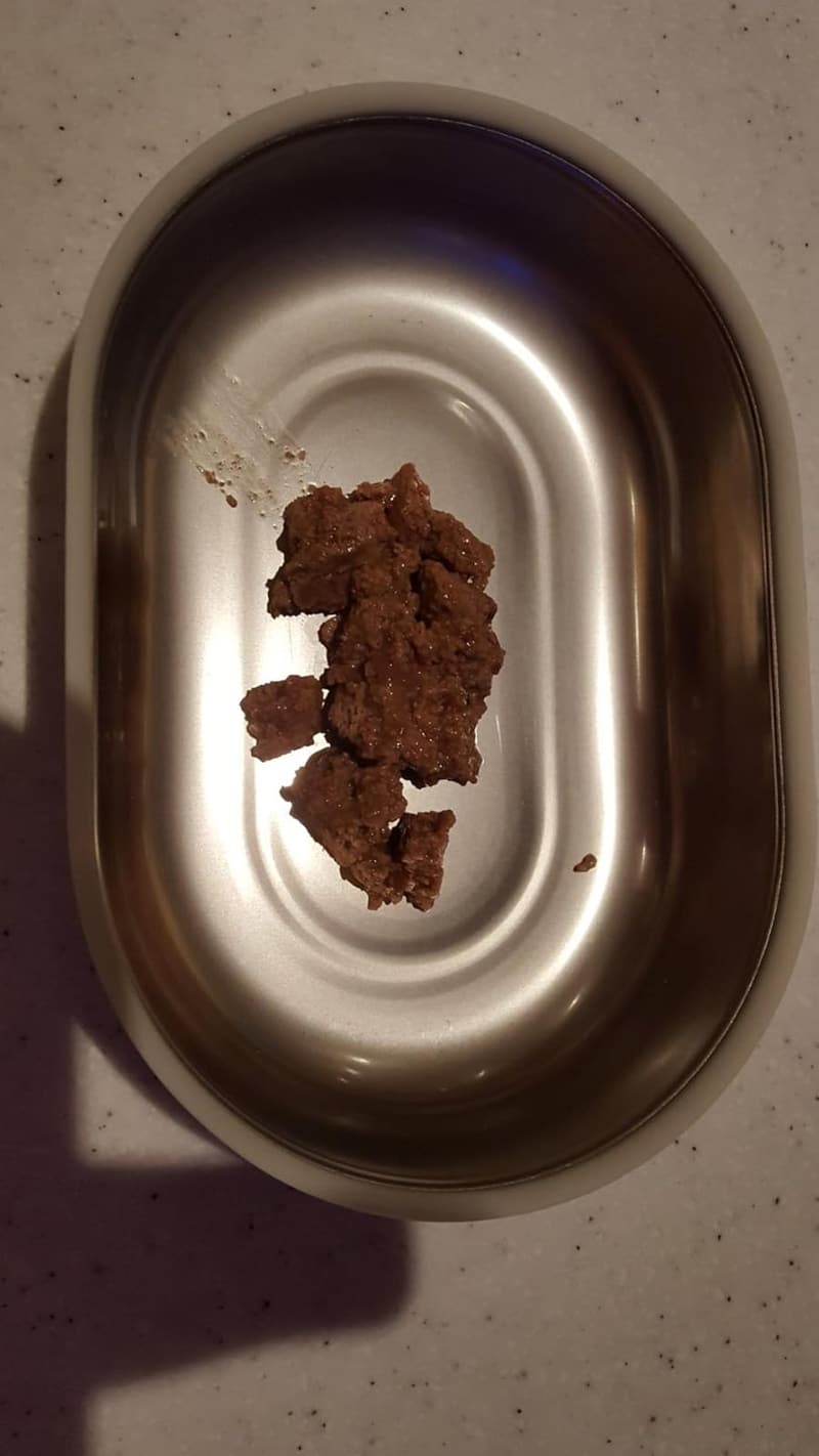SureFeed Stainless Steel Pet Bowl