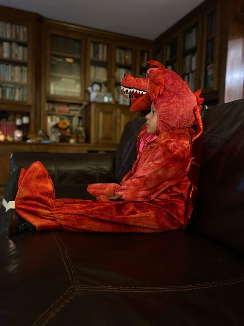 Child's Red Dragon Costume - Large