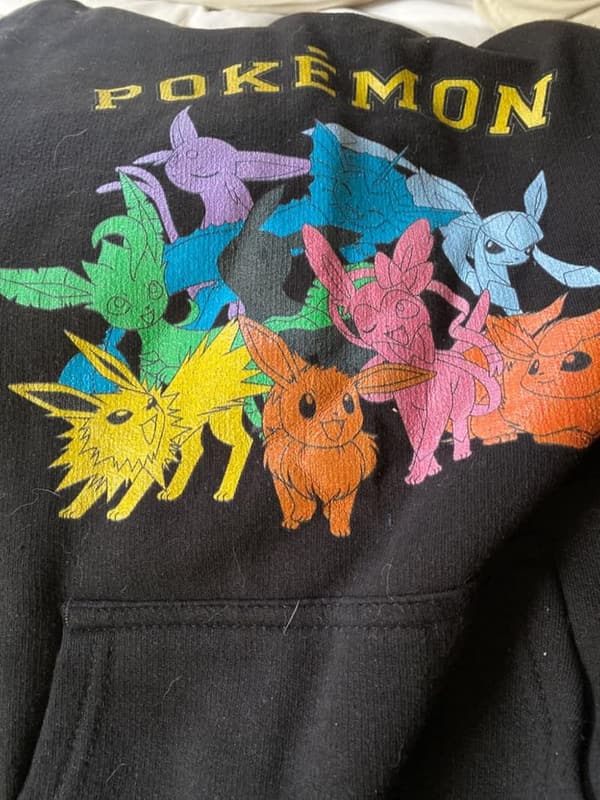 Eevee Evolution Kids Pullover Hoodie