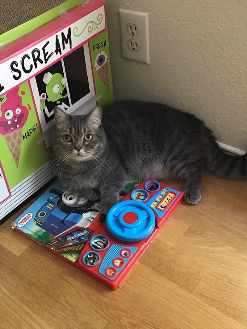 Thomas & Friends Steering Wheel Sound Book for Kids