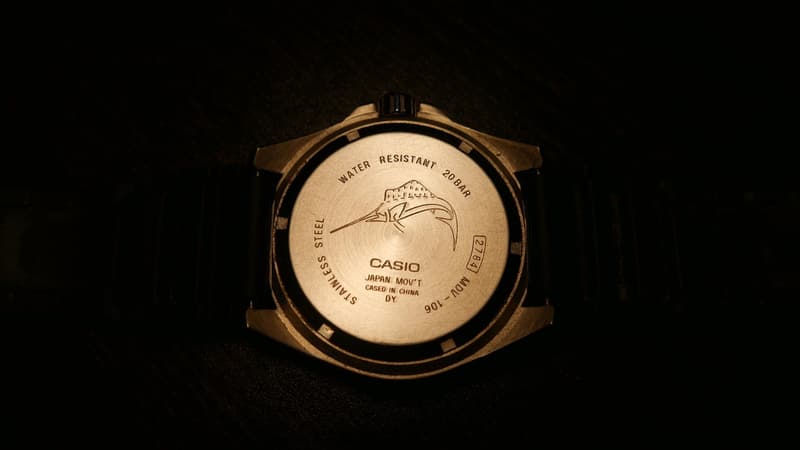 Unisex Analog Watch with 200M WR and Stainless Steel Case