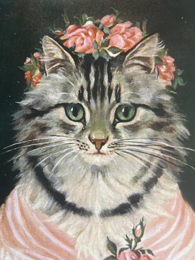 Louis Wain Vintage Cat Postcards Set (24 pcs)